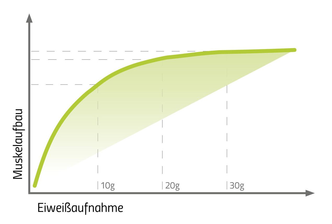 Proteine