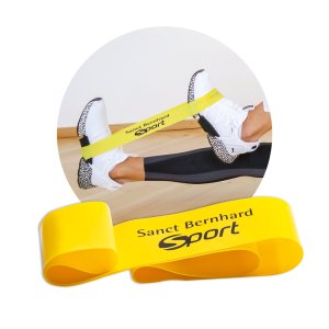 2544_fitnessband.jpg