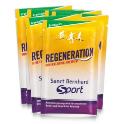 Regeneration Mineraldrink-Premium Sachet Granatapfel: 20-g-Sachet