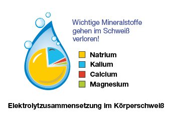 Über den Schweiß gehen wichtige Mineralstoffe verloren, die über die Ernährung ausgeglichen werden sollten.